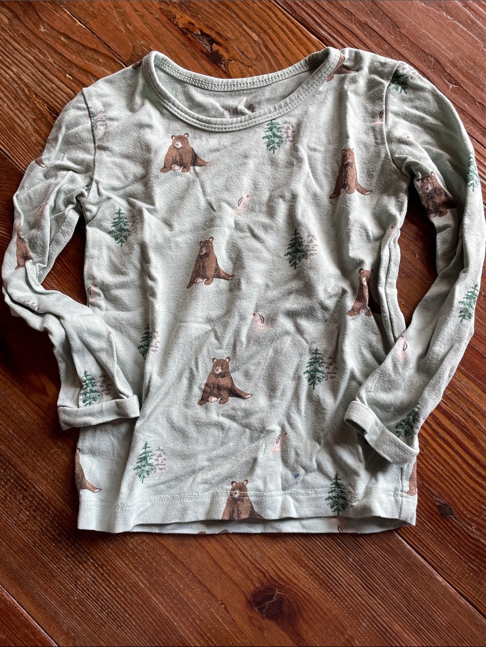 KYTE BABY 2T Bamboo Sage Green Long-Sleeve Bear Print Top